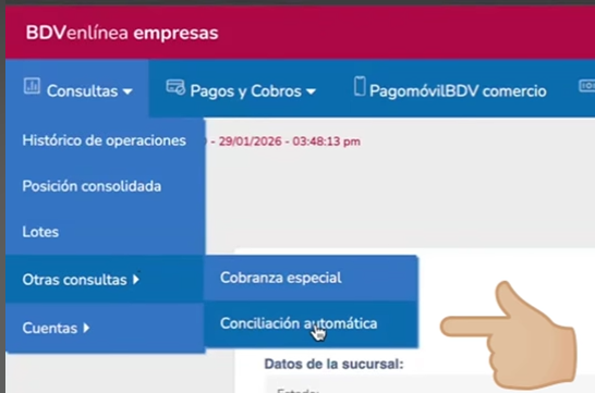 BDV Menú Consultas - Conciliación automática